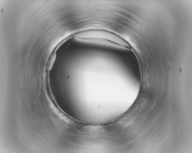 X0000088871134200706221743