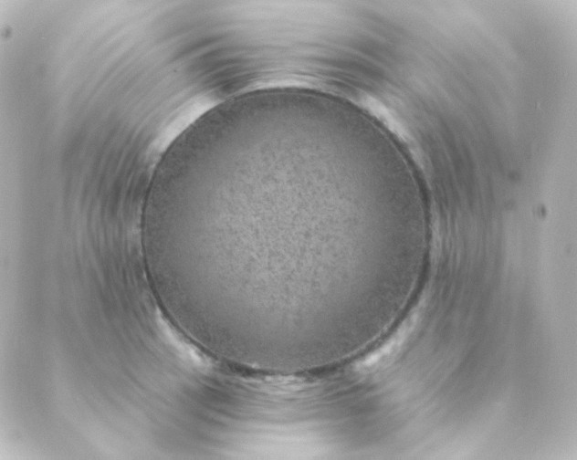 X0000088871137200706221743