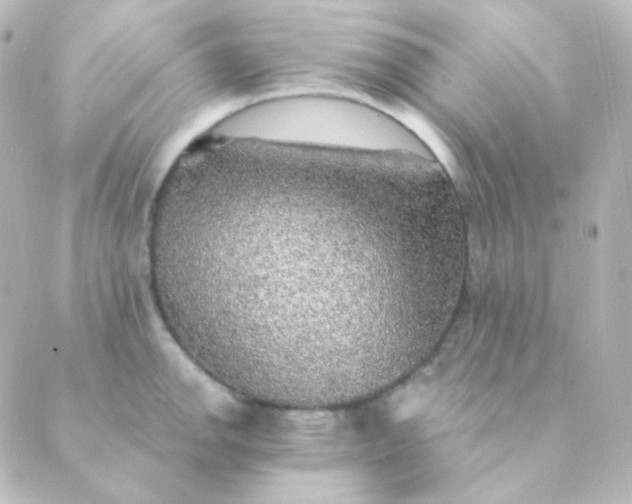 X0000088871142200706221743