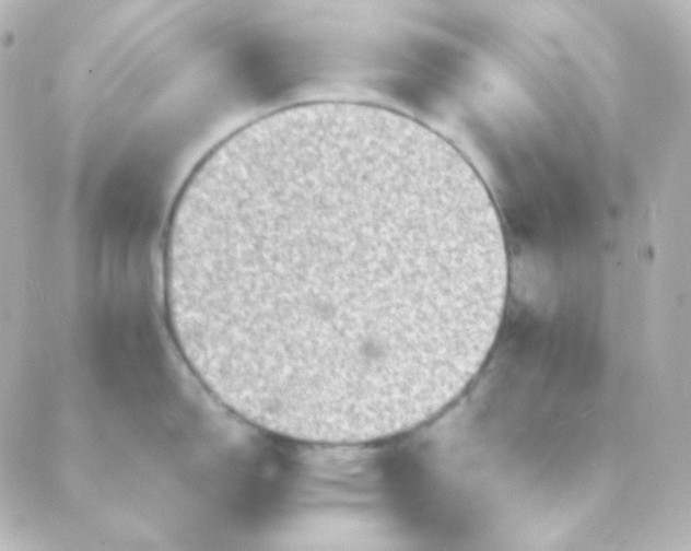 X0000088871150200706221743