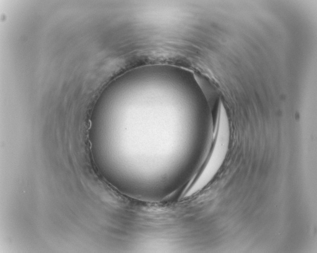 X0000088871153200706221743