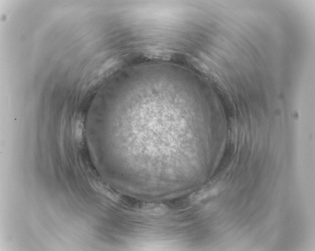 X0000088871154200706221743