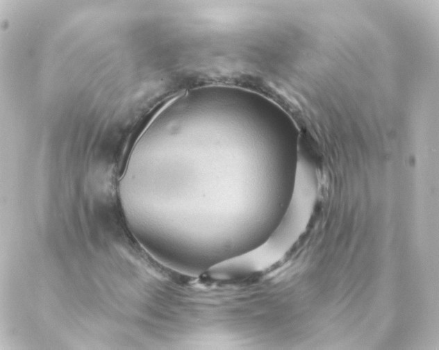 X0000088871156200706221743