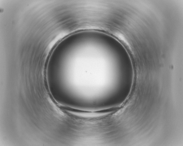X0000088871181200706221742