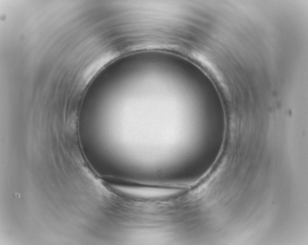 X0000088871185200706221742