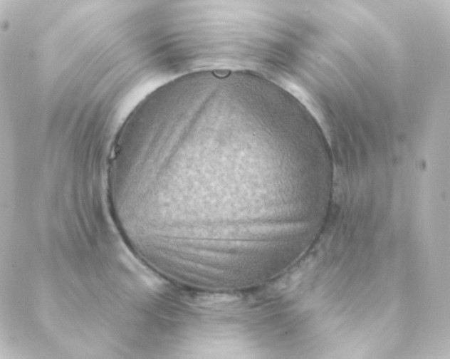 X0000088871187200706221742