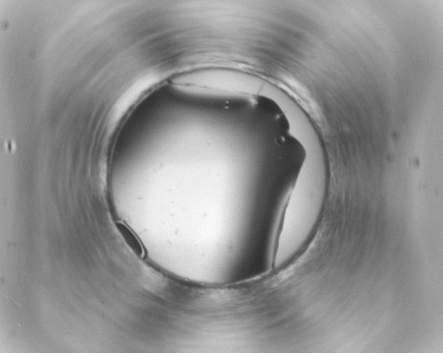 X0000088871188200706221742