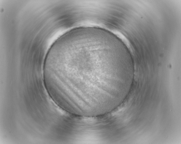 X0000088871191200706221742
