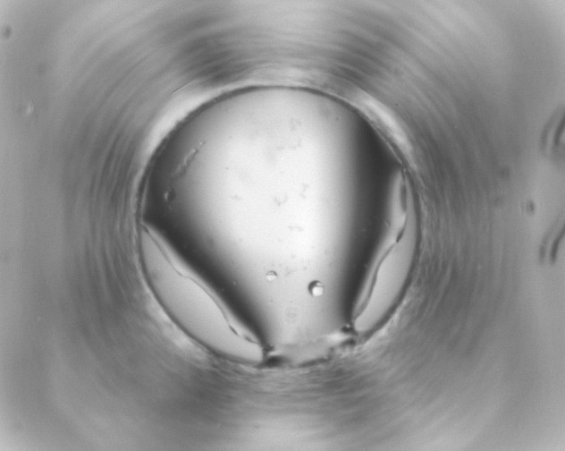 X0000088871192200706221742