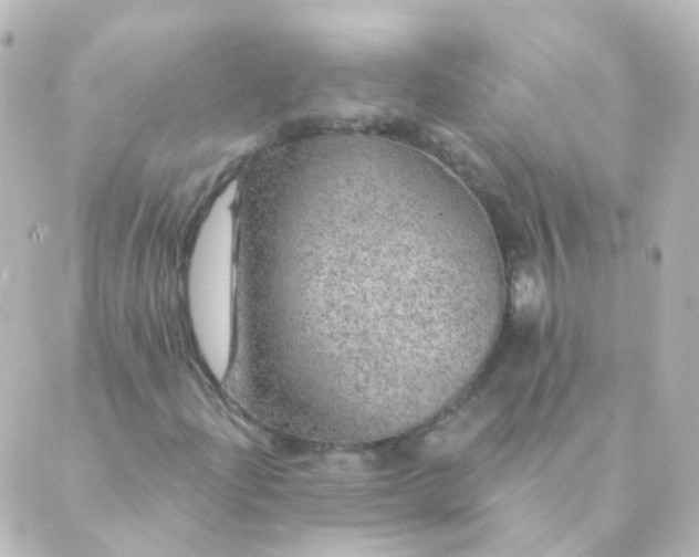 X0000088871204200706221741