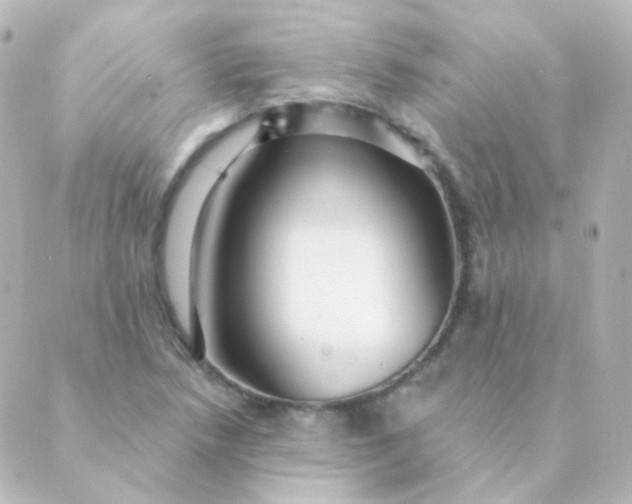 X0000088871218200706221741