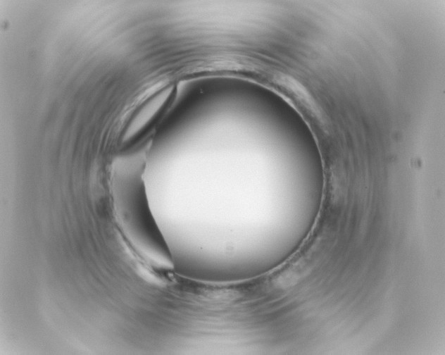 X0000088871225200706221741