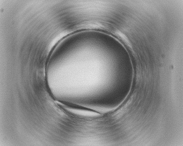 X0000088871226200706221741