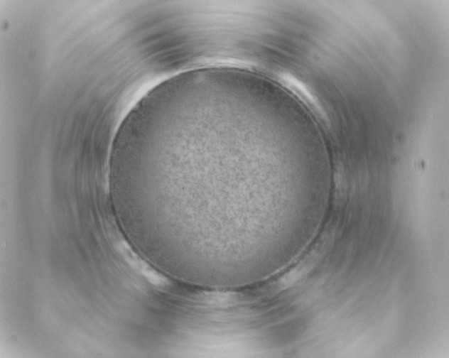 X0000088871236200706221742