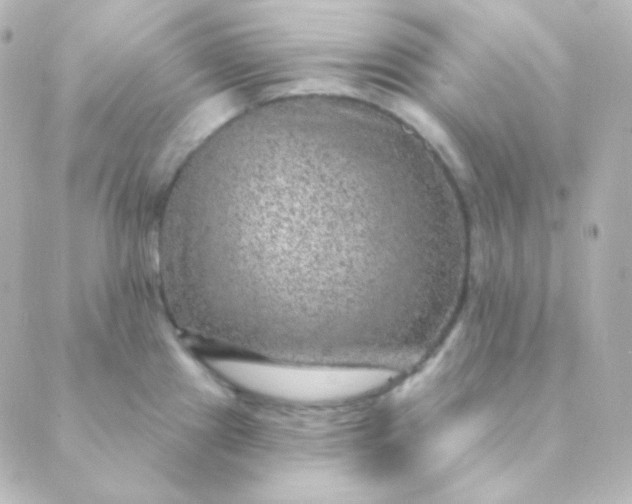 X0000088871241200706221742