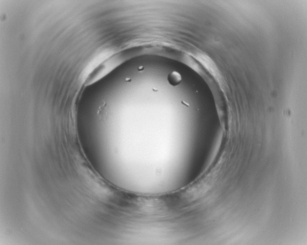 X0000088871242200706221742