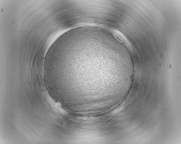 X0000088871244200706221742