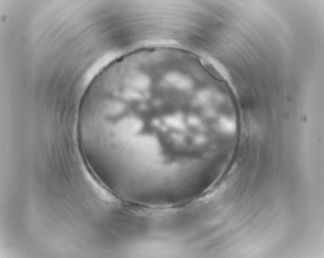 X0000088871245200706221742