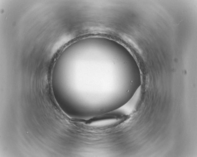 X0000088871261200706221741