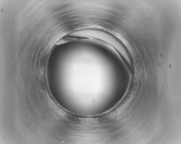 X0000088871281200706221740