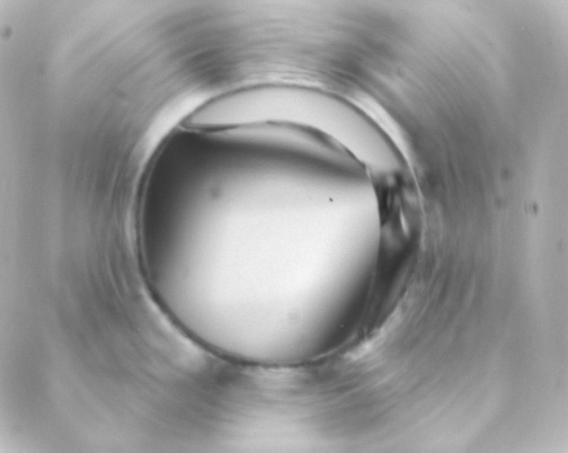 X0000088871293200706221740