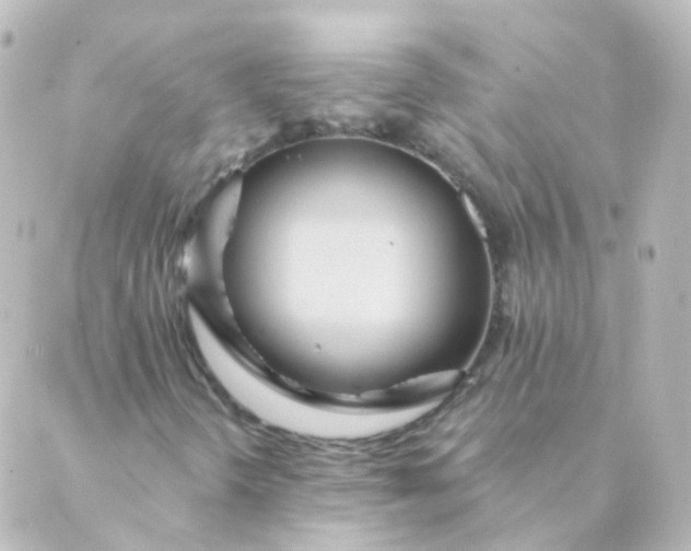 X0000088871298200706221739