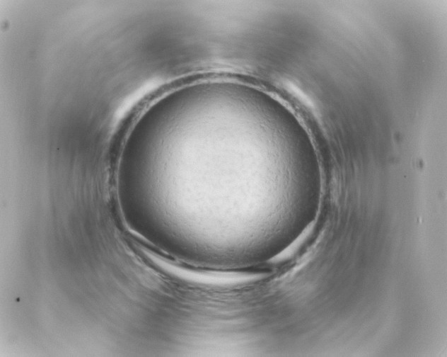 X0000088871310200706221740