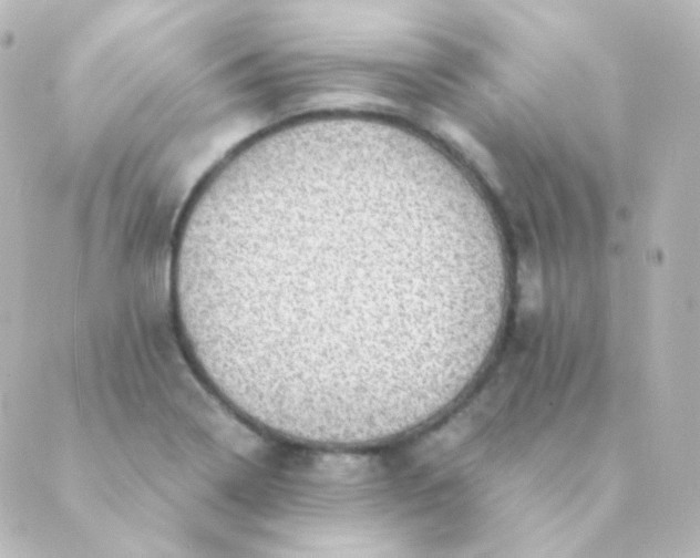 X0000088871322200706221740