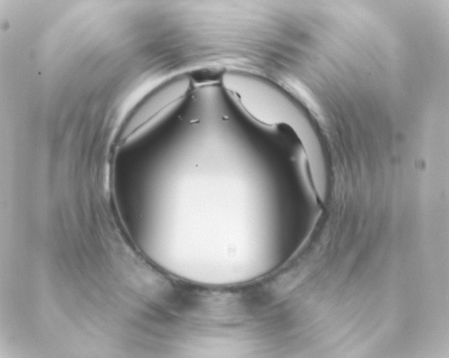 X0000088871324200706221740