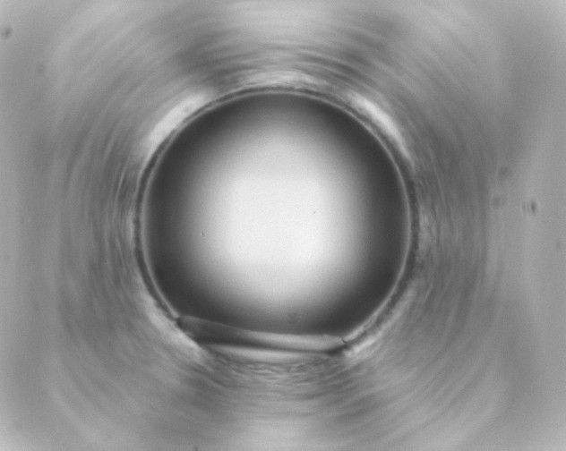 X0000088871330200706221740