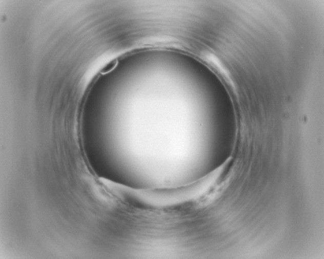 X0000088871336200706221740