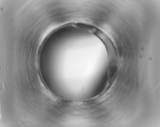 X0000088871342200706221740