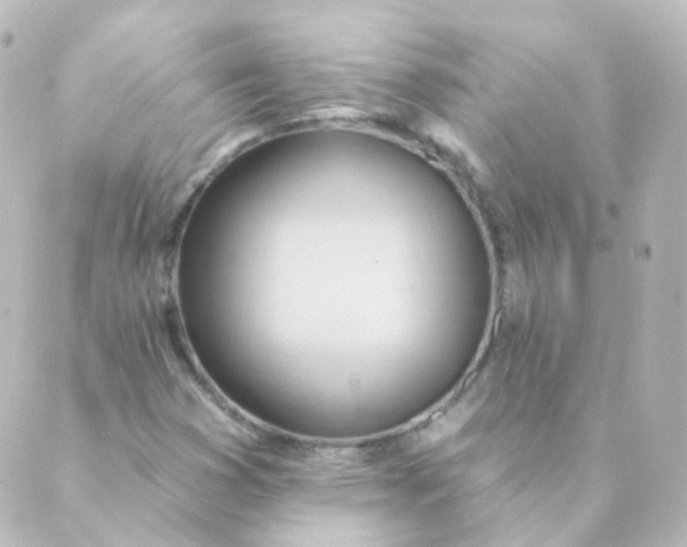 X0000088871353200706221739