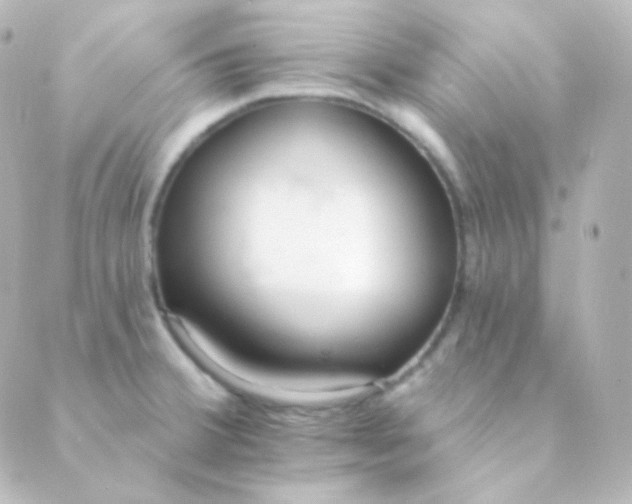 X0000088871380200706221739