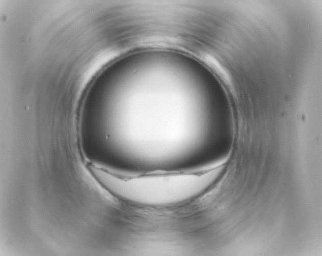 X0000088871384200706221739