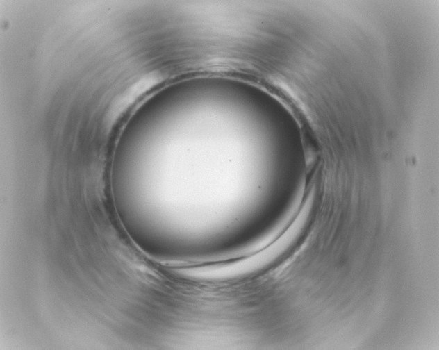 X0000088871410200706221738