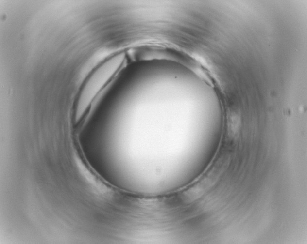 X0000088871422200706221738