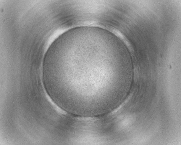X0000088871432200706221739