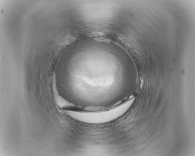 X0000088871441200706221738
