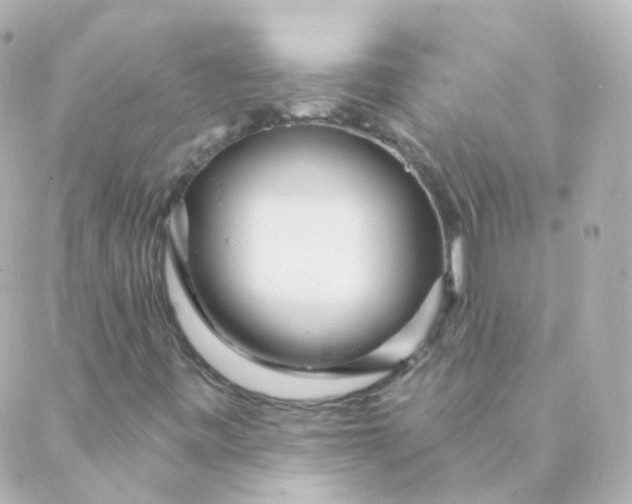 X0000088871443200706221738