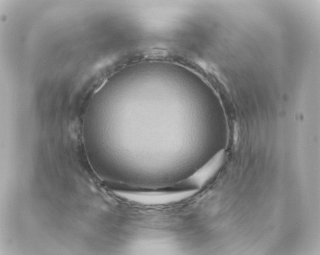 X0000088871445200706221738