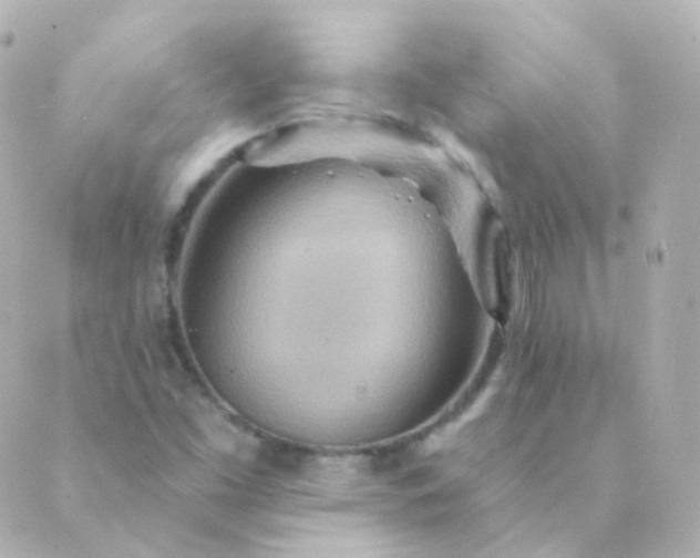 X0000088871453200706221738