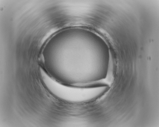 X0000088871457200706221738