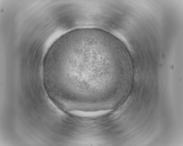X0000088871472200706221737
