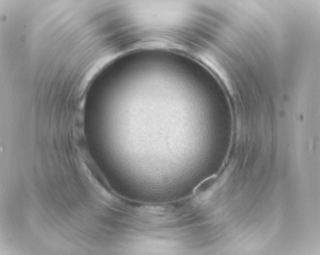 X0000088871481200706221737