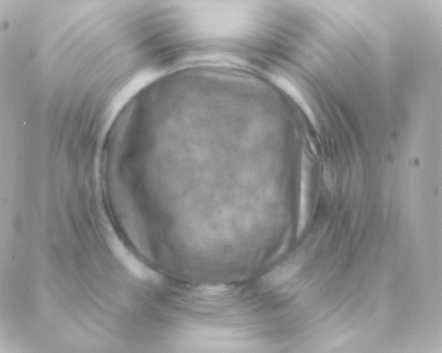 X0000088871482200706221737