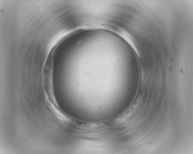 X0000088871485200706221737