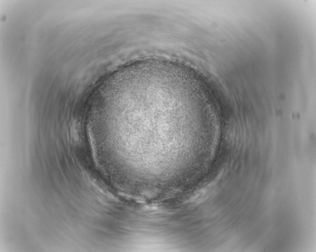 X0000088871490200706221736