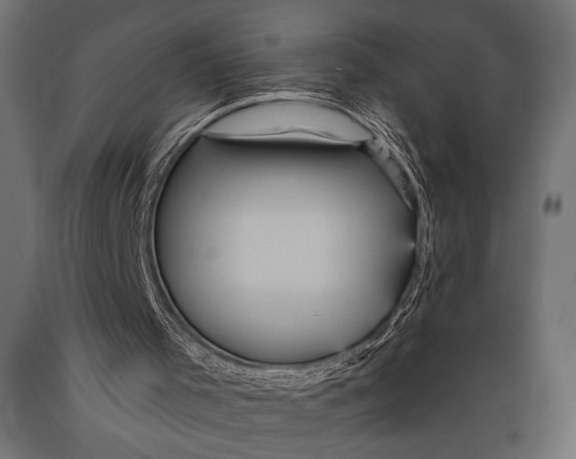 X0000088870001200706291551
