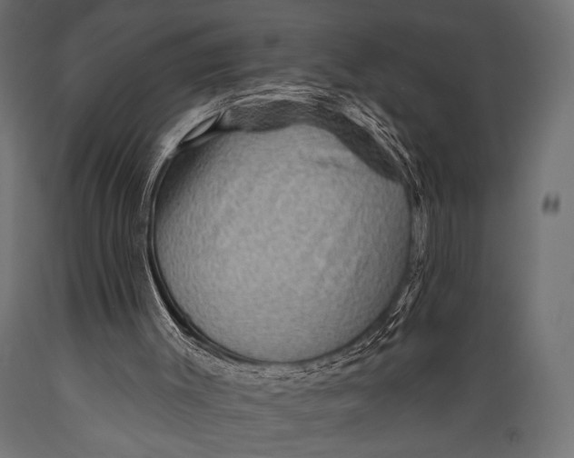 X0000088870003200706291551